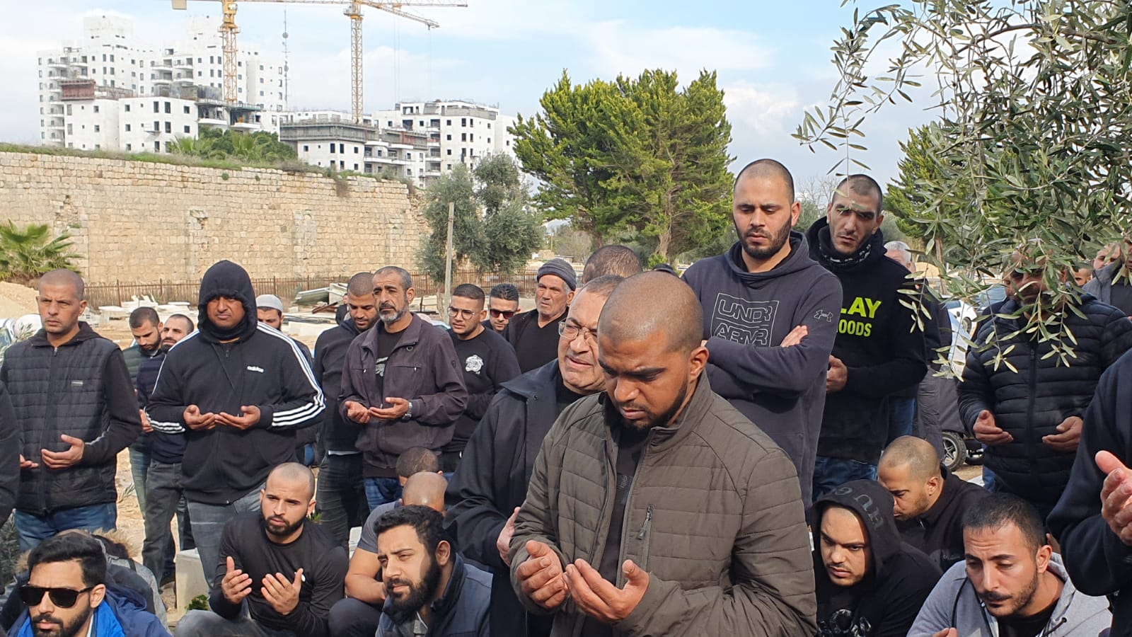 WhatsApp Image 2020-02-03 at 3.55.32 PM (2).jpeg.jpeg